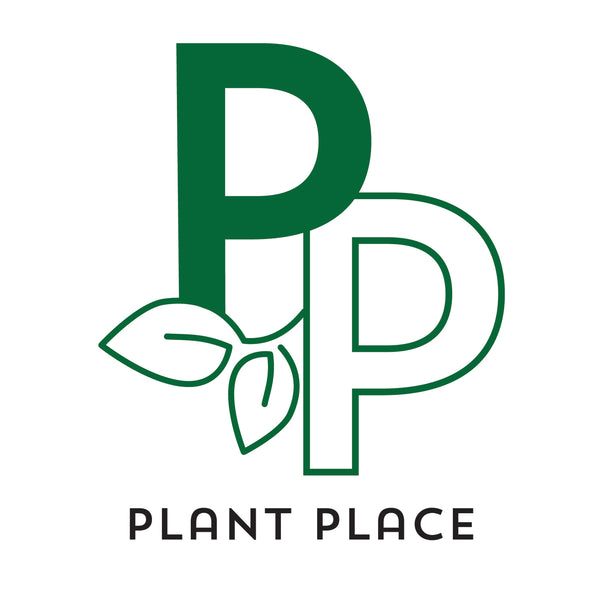 Plant Place Online Shop
