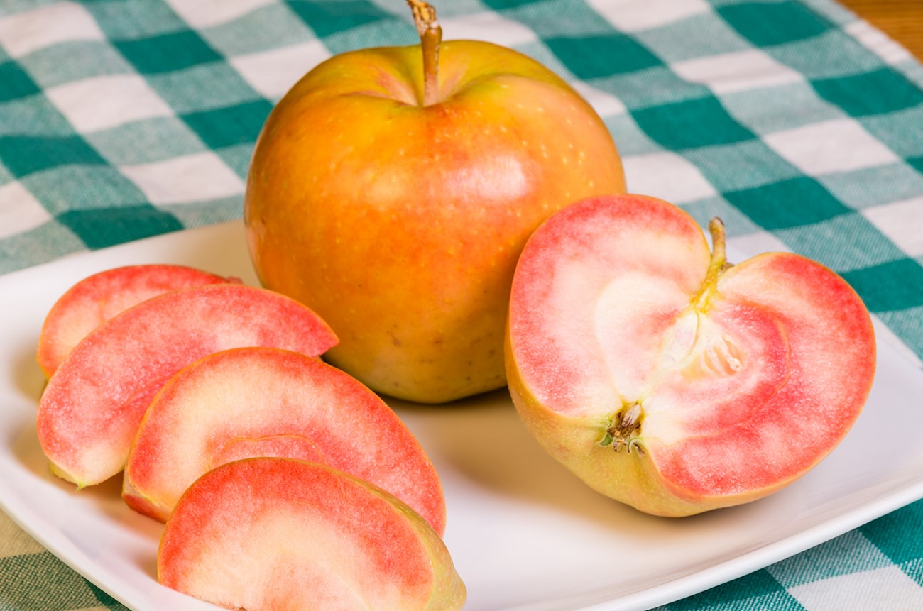 Semi-Dwarf Pink Pearl Apple Tree